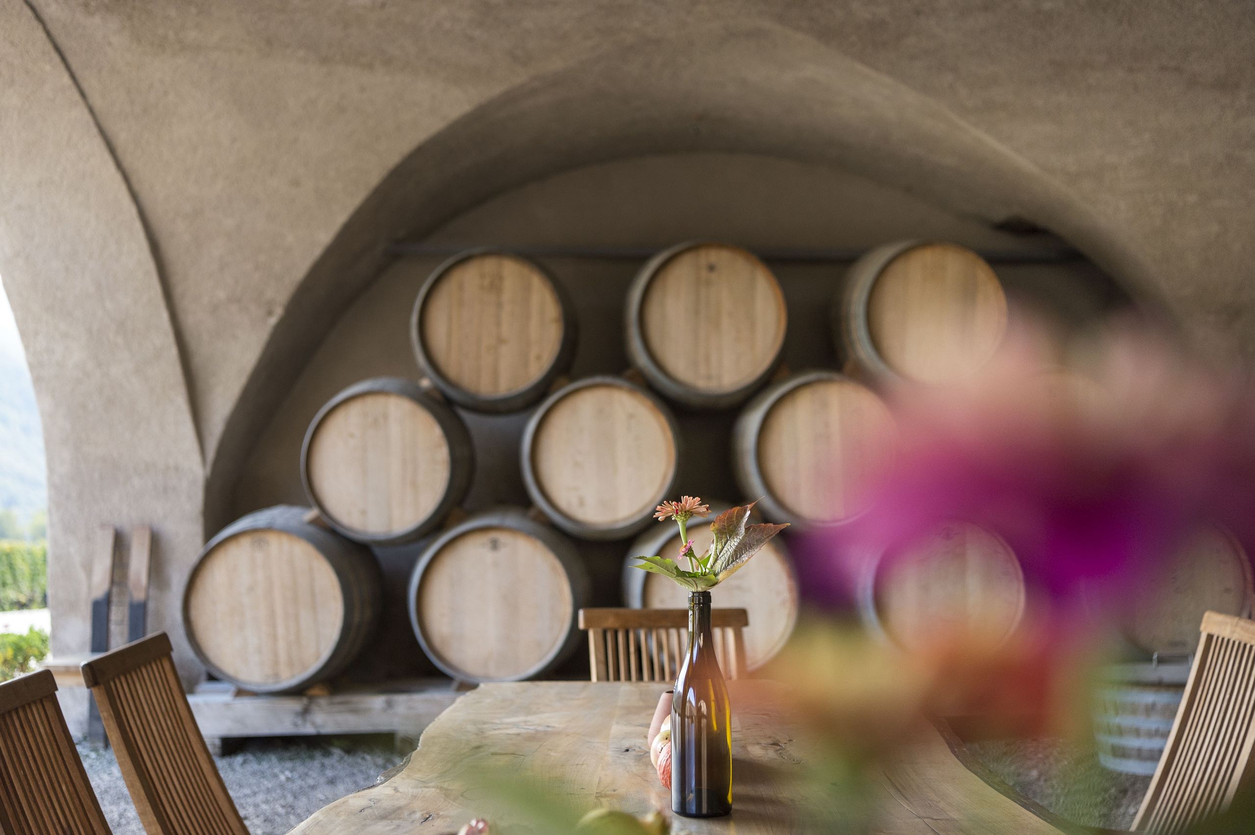 Visit to the most important South Tyrolean wineries